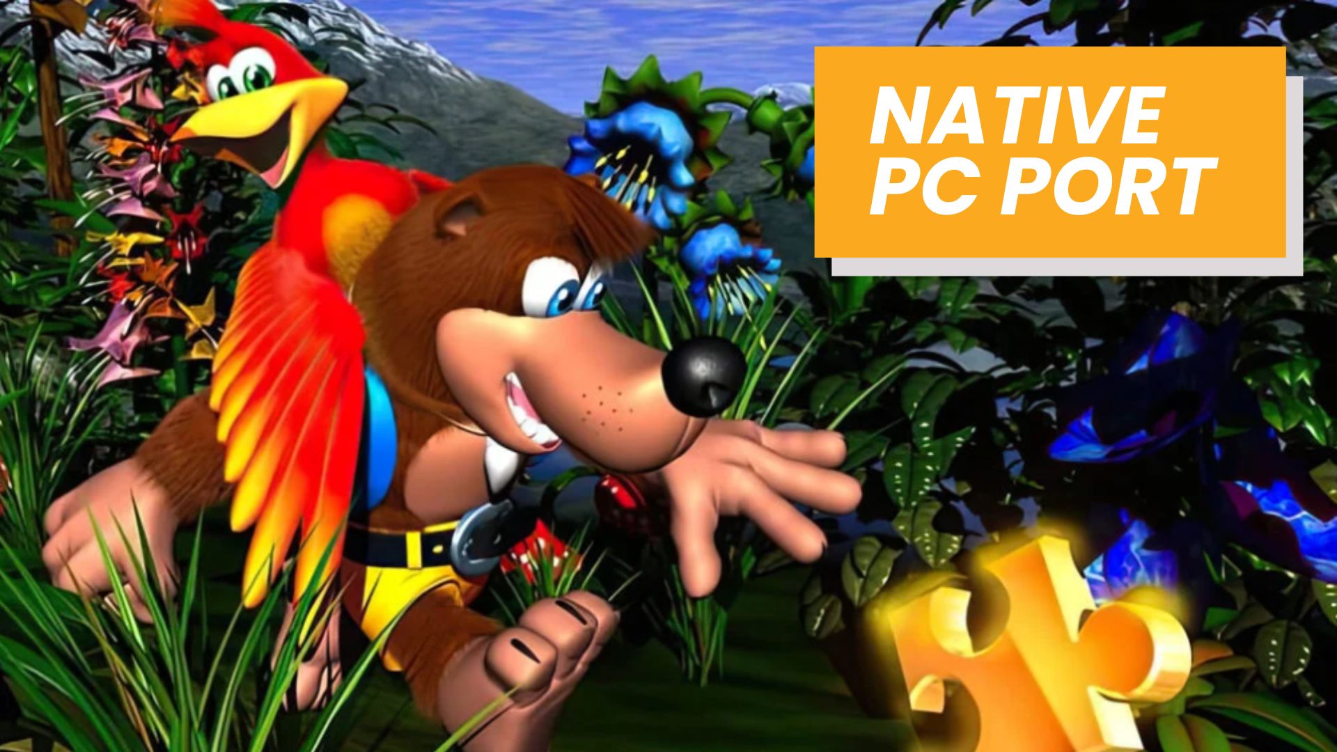 Banjo-Kazooie is Getting Another Native PC Port, and It Looks Impressive